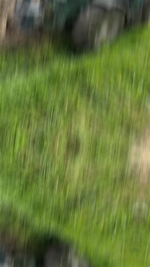 Farming_shkoder on TikTok