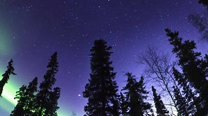 À l'affiche au Planétarium Rio Tinto Alcan, jusqu'au 5 septembre. | Espace pour la vie