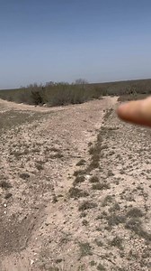 Bobcat catch and set explanation | Dunlap LURES