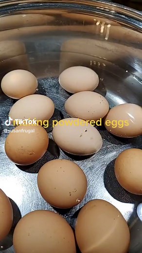 Making Powdered Eggs with Dehydrator and Using Rice in Teabag for Moisture Absorption