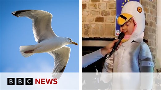 9-year-old British boy wins Europe-wide Imitation Seagull Screeching Competition