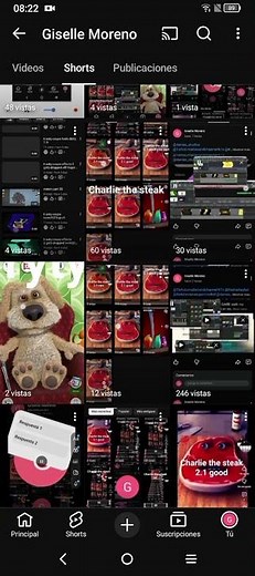 klasky csupo videopad master