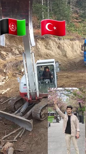 Excavator in Action: Moving and Stacking Logs