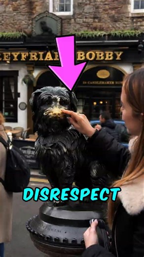 Why People Are Angry at This Dog Statue 🐕