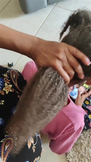 A pre-poo (pre-shampoo) is a moisturizing treatment applied to dry or damp hair before washing to protect it from being stripped of natural oils by shampoo. It adds hydration, makes detangling easier, and reduces breakage during wash day. I am using Organic Secrets Rosemary Cream for this pre-proo. It leaves the hair soft and easy to detangle after a wash, and with a lovely shine! 250g of the Rosemary Cream is 75,000 and it can also be used as a hair pomade and hair mask for growth.