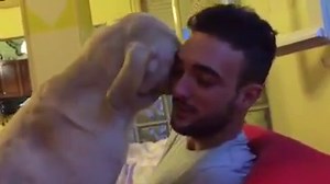 92K views · 1.5K reactions | Watch as the two take part in one of the cutest interactions you'll ever see! | Rumble | Facebook