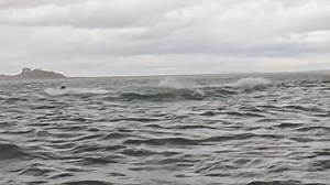 131K views · 553 reactions | Aquest és el moment en què un home va ser engolit i escopit per una balena mentre practicava piragüisme a l'estret de Magallanes https://www.3cat.cat/324/una-balena-sempassa-i-escup-un-home-que-feia-caiac-a-lestret-de-magallanes/noticia/3335845/ | 3CatInfo | Facebook