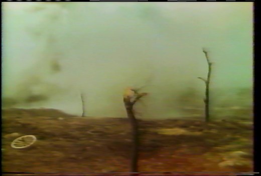 All Quiet on the Western Front 1930 AMC Film Preservation