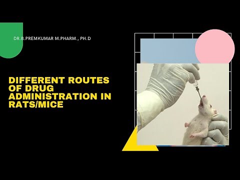 Different Routes of Drug administration in Rats/Mice