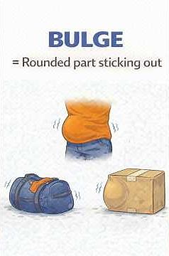 BULGE Meaning in English | Common Word Explained with Examples