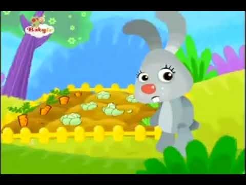 Kenny and Goorie Meet Friends | Rabbit