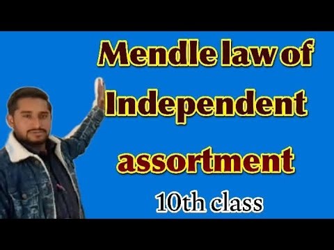Class10th biology topic mendles law of independent assortment