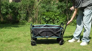 Vecukty Mini Portable Foldable Wagon with All Terrain Solid Wheels, Folding Utility Grocery Wagon with 150 lbs, Black