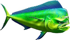 Mahi Mahi Beautiful Fish Decal | Fishing Decal for Boat, Car, Vehicle, Truck Etc. | Waterproof Vinyl Sticker | Many Sizes & Styles Available | 12" to 40" by Digital Fish Art (Small, Position 2R)