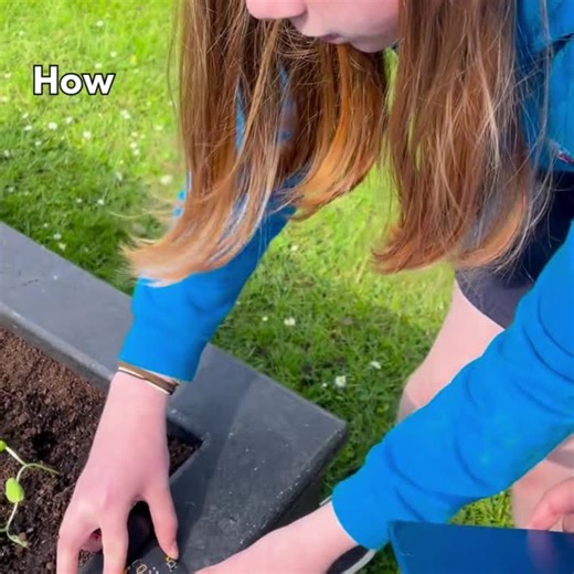 Explore science with your BBC micro:bit!