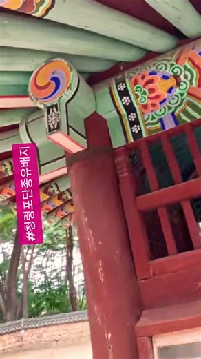 #청령포단종유배지탕방#강동희망포럼