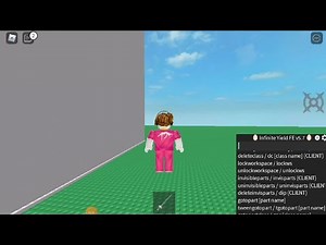 How To Fly In Mobile With Infinite Yield Any executors