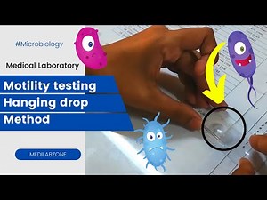 Motility Test Microbiology - Hanging Drop Method (Bacterial Identification Test)