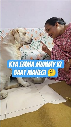 Kya Emma Mummy Ki Baat Manti hai ? 🤔 | #cuteanimal #pets #dogcute #minivlog