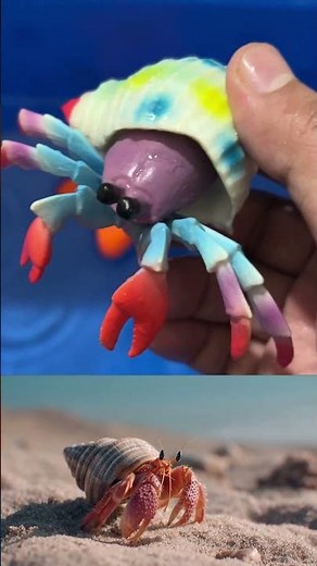 Learn Ocean Animal Names & Fun Facts | Sea Animal Toys for Kids | Educational Video for Toddlers