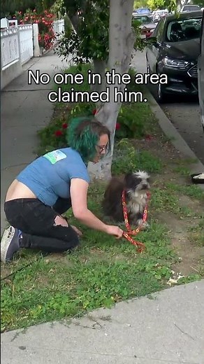 A prince has been rescued 👑