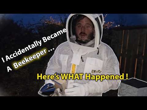 I Found a 3-Year-Old Beehive Behind My Fence… Then Tried to Move It 🐝- with ‪@burstingbees3618‬