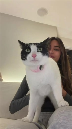 our night time routine ! | Night Time Routine