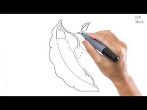 Simple Beans Drawing Easy, How to Draw a Cartoon Sketch Beans Tutorial Step by Step