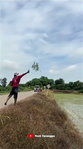 Thai Farmers Throw Rice Seedlings Into Water!