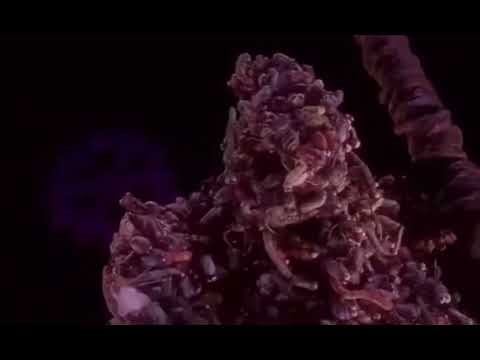 The Nightmare Before Christmas: Oogie Boogie’s Defeat