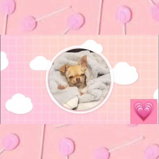 Bambi The Sleepy Princess! 👑