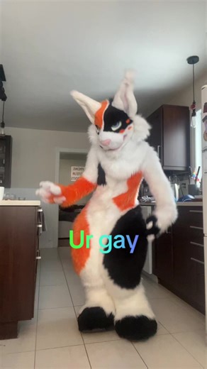 Im telling #furry #cat #fursuit #furryfandom #gay Rainbow font.