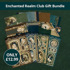 Start your weekend off right and enjoy this wonderful Club Gift bundle for just £12.99 😁 Sign into your account on our website and receive your very own deluxe card kit, inserts & papers, bitesize book & adorable scorable 🤩 https://tinyurl.com/3xd469bc | Hunkydory Crafts