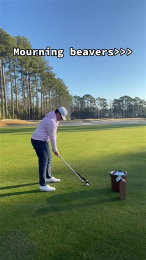 Understanding Mourning Beavers in Nature