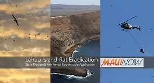 State Proceeds with Lehua Island Rat Eradication | Maui Now
