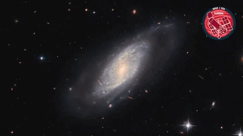 One to watch for supernova fans: the star factory UGC 9684! ⭐🏭 Access more space-themed .gifs at our giphy page: https://ow.ly/4cjK50RB5e3 | Hubble Space Telescope