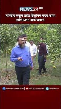 চাকরির পেছনে নয়, মনের কথা শুনে স্বপ্ন পূরণ! | NEWS24