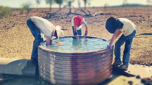 Queensland Drought - Behind The News