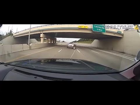 Video shows Livonia police use new grappler device to stop stolen vehicle