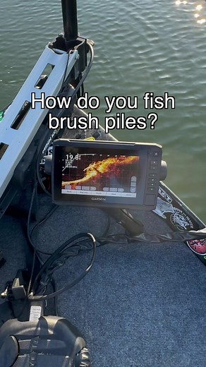Effective Fishing Techniques for Brush Piles