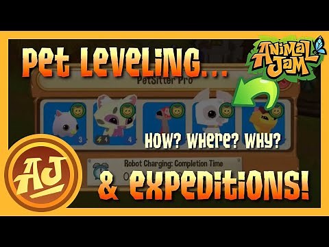 How to Level Pets & Send Them on Expeditions | Animal Jam Tutorial