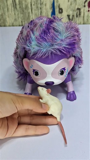 YES or NO? A Hedgehog's Dilemma! 🦔🍩🐭