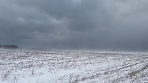 Lets hunt late season elk they said. It’ll be fun they said… 😳😳😳 | Elk County Outfitters