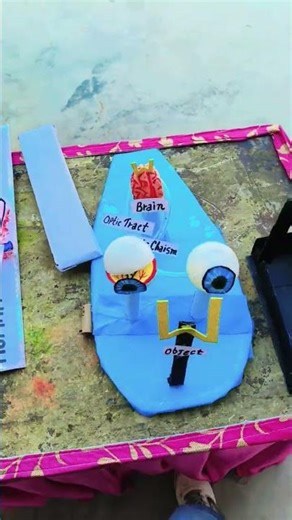 #newsong #punjabisong #haryanvisong #love #song #comedyshortfilims #comedy #edms #kabaddimatch