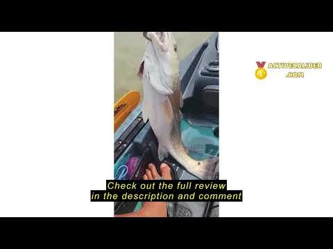 Review Okuma Ceymar A Spinning Reels