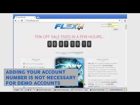 Forex Flex EA Installation Setup Guide