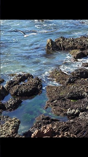 Morro Bay California Ocean Scenery #coastal #water #beach