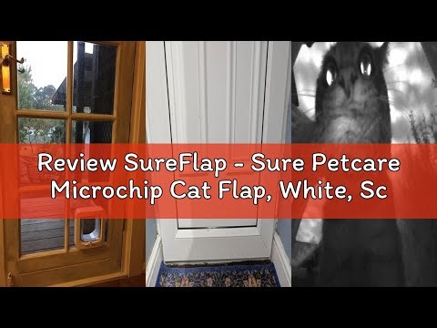 Review SureFlap - Sure Petcare Microchip Cat Flap, White, Scans Pet's ID on Entry, Check Your Cat's