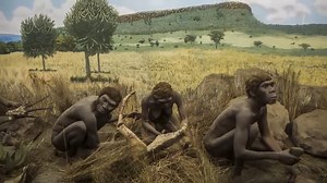 The 6 million year journey of human evolution - Do you believe it now?