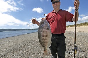 Sea Fishing for Black Bream From the Beach